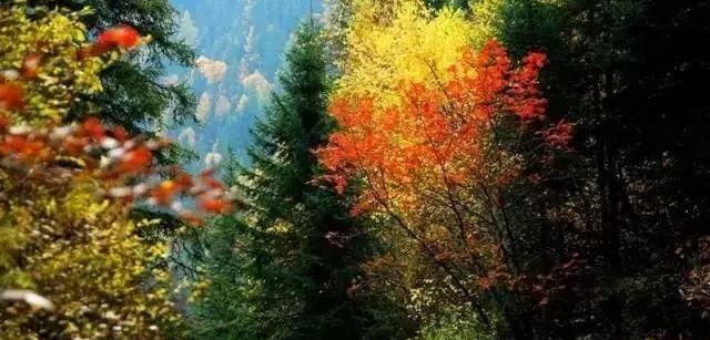 秋日里，山西20处绝美赏秋胜地美的像仙境