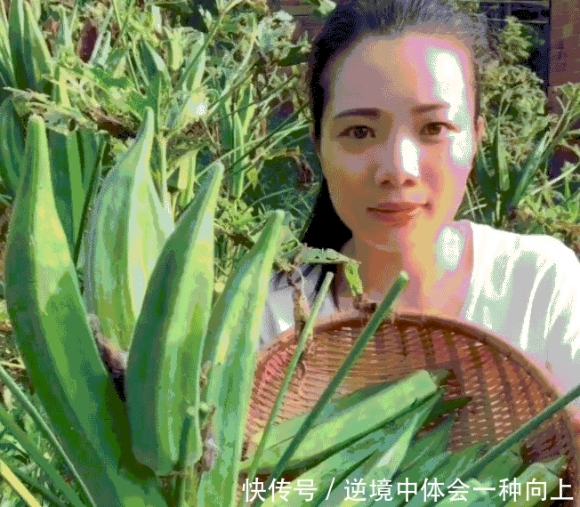 这种“辣椒”以前农村到处是，现10元一斤，农民种它年赚十几万