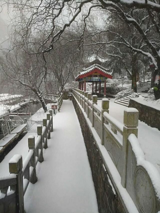 西安一下雪就变回长安 雪拥四大景区 千年梦回秦岭