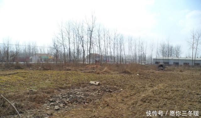  【补贴】粮食补贴新变化，这3类村民将会失去领粮补资格，希望你