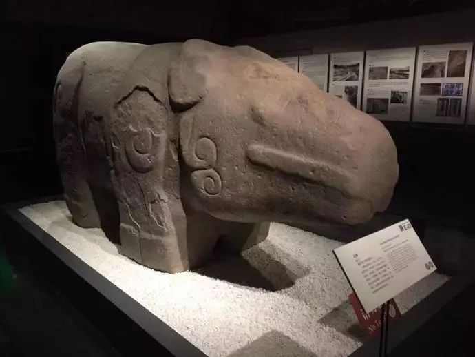 辟谣！四川暴雨与石犀移位无关，鳄鱼均在救护站内！这10个谣言不