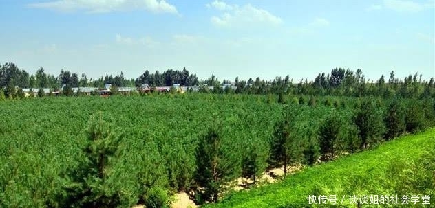 中国内蒙古发生奇迹？大片沙漠被引入黄河水后，竟产生这样的结果