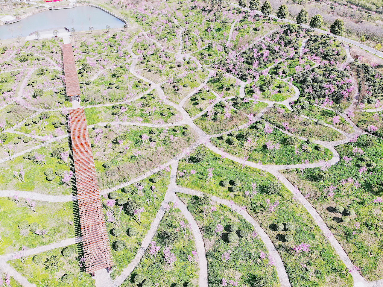 武汉周边游3??丨黄陂赏花和登山徒步，推荐这四个景区必须打卡