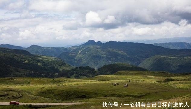 西南地区最大的草原，不用去内蒙，也能领略大草原的风采