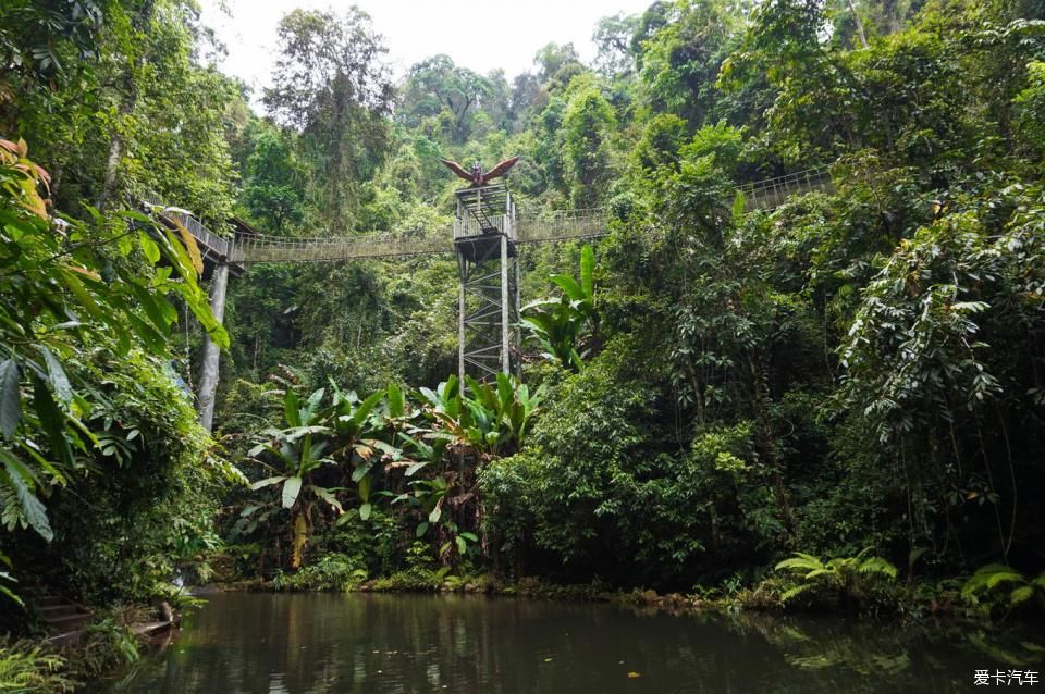  西双版纳@绿水青山就是金山银山，去西双版纳过泼水节！