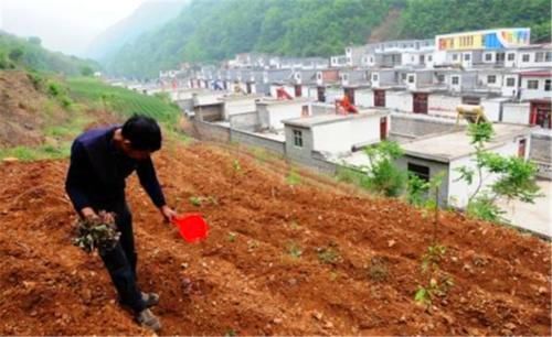  拆除|贫困户搬迁之后，老家的新房子必须被强行拆除吗？