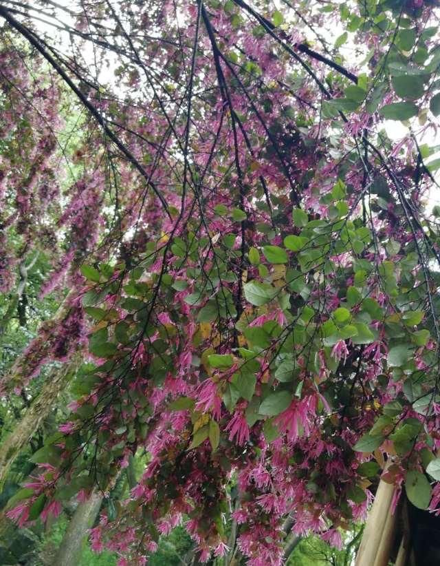  『如说』早春穿搭风向∣春天已经来了，如果不能出门踏春，那便把春天“穿”在身上！