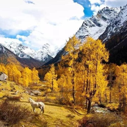 四川又发掘一个“稻城亚丁”，比九寨沟更美，重点是还未商业化