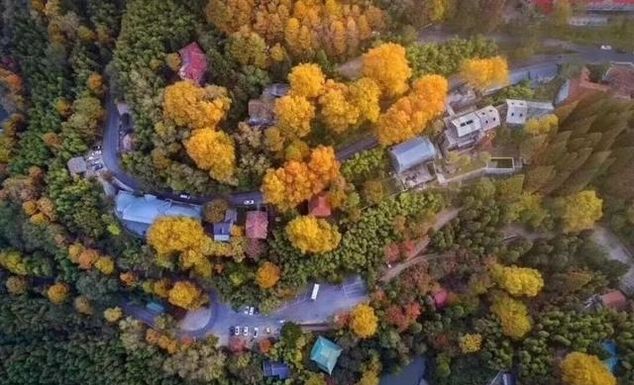 中国超美的民宿院子