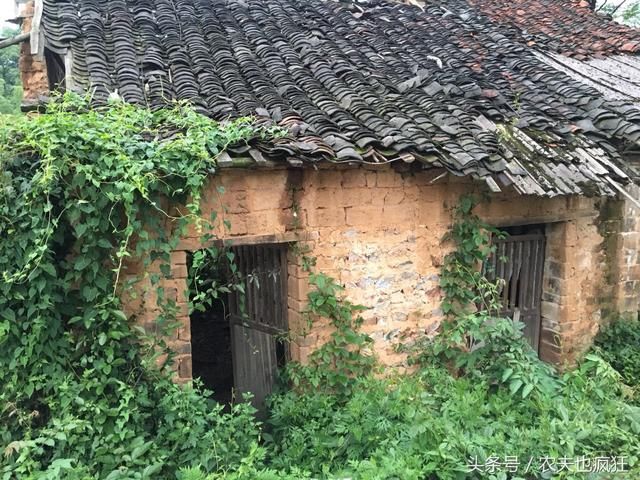 户口从农村迁到城市后,那还能再回到农村建房