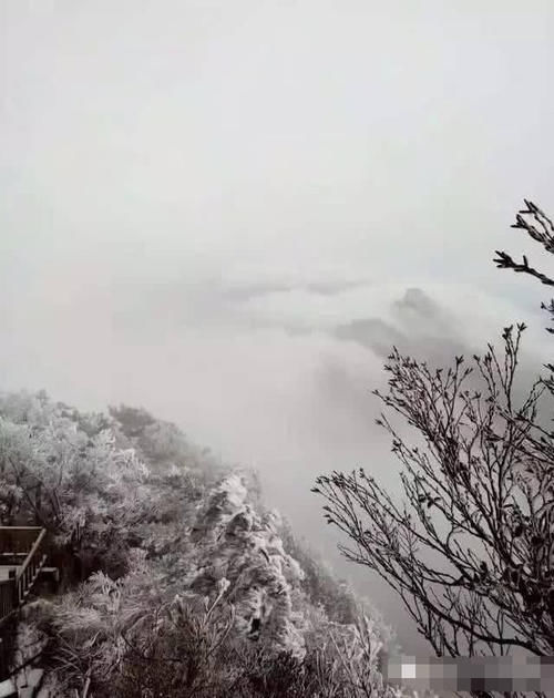 你那里还秋色正浓，河南这个5A景区却已经来了第一场雪