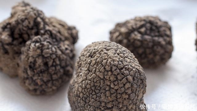  「收购价」一斤直逼300元，市场供不应求，就连种植户都说真是疯