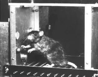 他揭开了迷信的心理机制，却无法破除自己被传虐童的谣言迷信