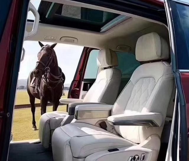  [mpv]大众终于入局商务MPV市场，这车长超5米3，后排头等舱，叫