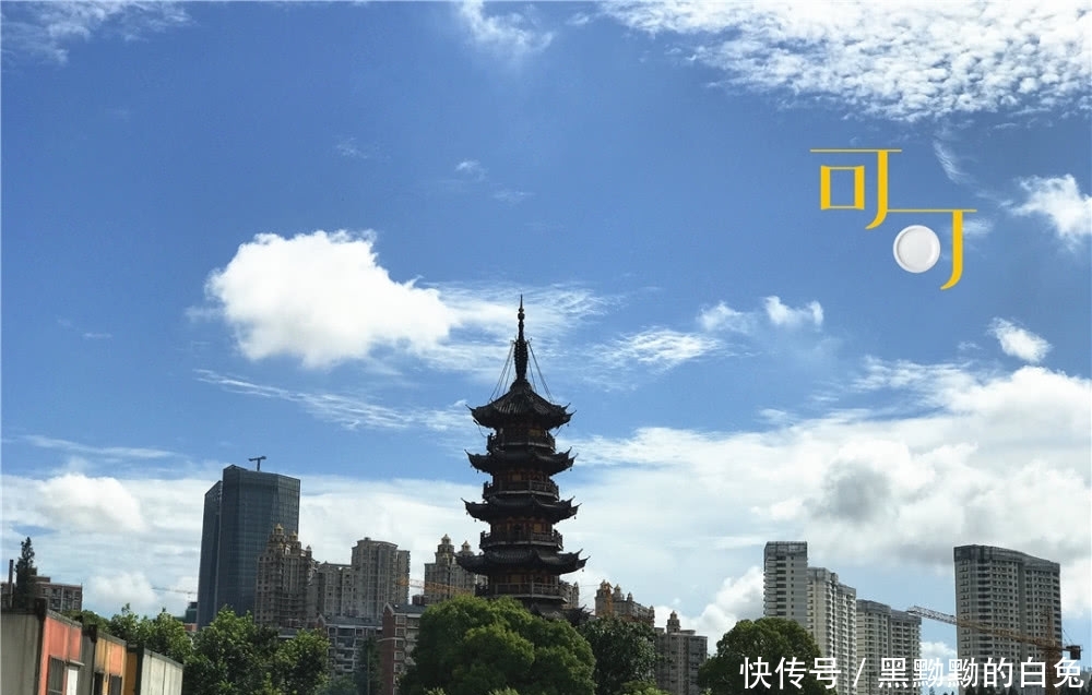 小宁波游大上海：看龙华寺龙美术馆，此行最满意午餐两人143元