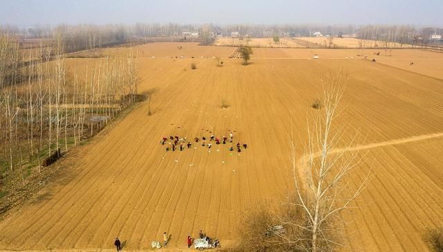  当床■大田地里生火做饭，农民打工日挣百元：天当被子地当床