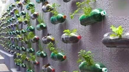  「花盆」家里空间不够，找点这些，种菜养花就能种出新境界！
