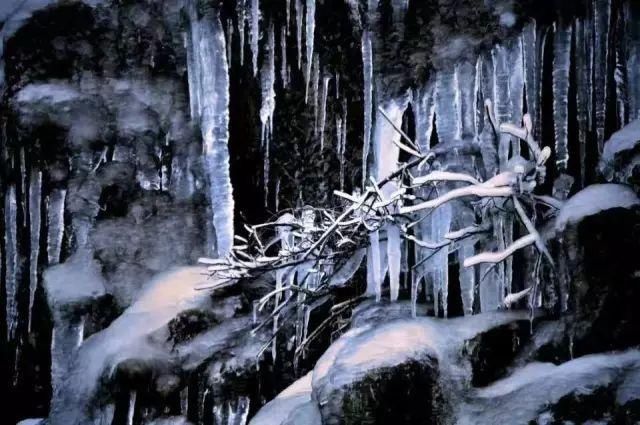 初冬已至，降温来袭 | 陕西这些地方已经下雪啦！想看雪景的走起