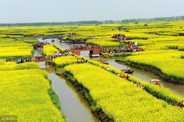 最江南的花海：惊艳不输婺源，情调不输威尼斯