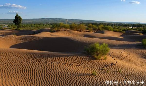  「地带」从沙漠周边地带开始种树，然后逐步向中心推进，能否彻