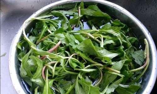 农村这野草有着金不换的美称，以前常被当作饲料，市场价一斤30