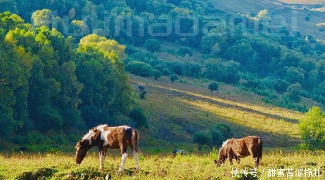 这个地方风景如画，随手一拍就是大片