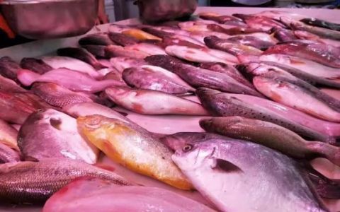 鲅鱼圈开海了,吃海鲜不被坑,但本海海鲜价格和你想的不一样