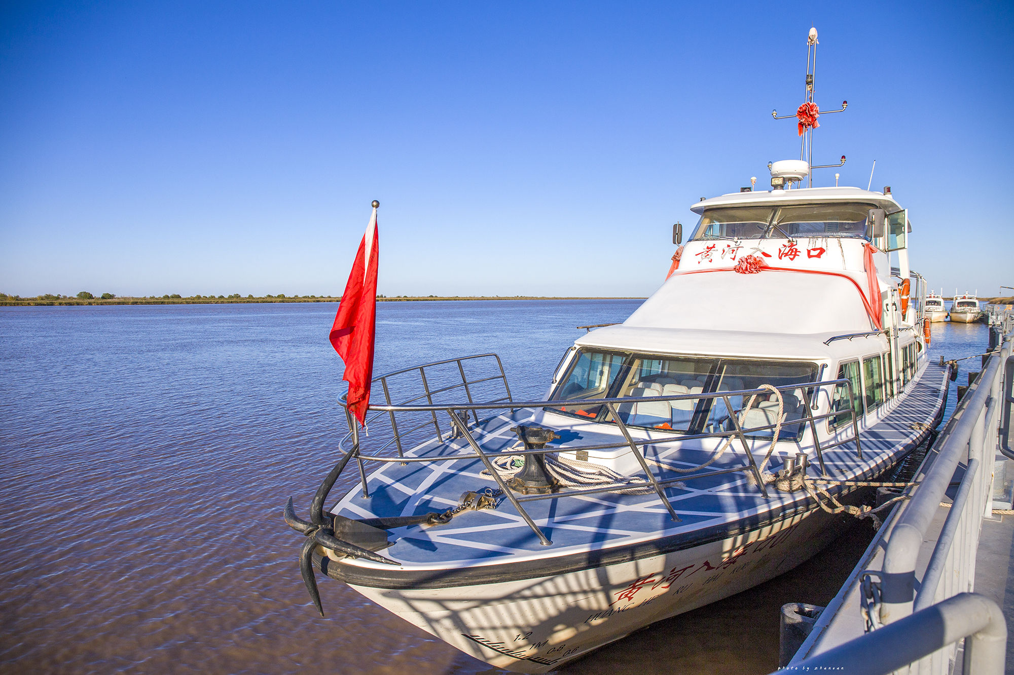 东营丨走过沧海桑田，终是在芦花飞雪的秋日遇见你
