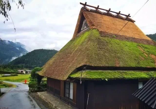 人口大城市化的日本，农村啥样？