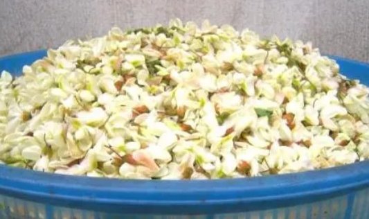  【树木】农村一种树木，被认为不吉利，花朵却是上好野菜，城里1