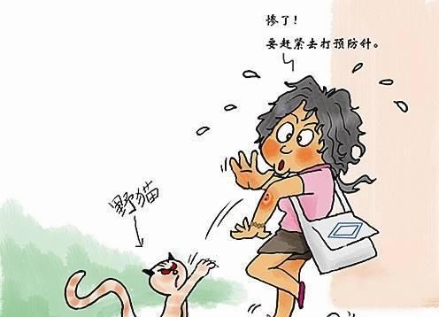 『出血』被猫咬伤出血了，会得狂犬病吗？什么是十日观察法？