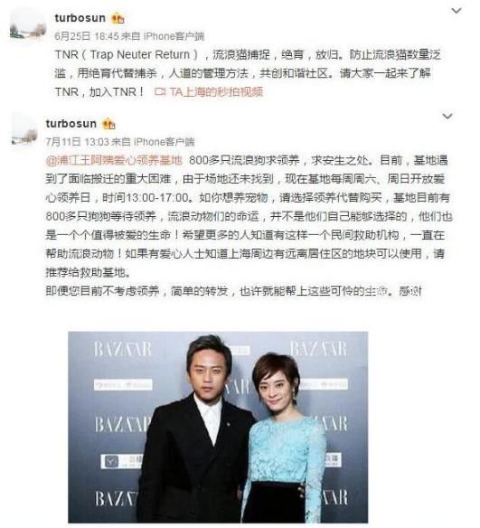 疫苗造假事件引众星怒斥，身为人母的孙俪却只关心流浪狗