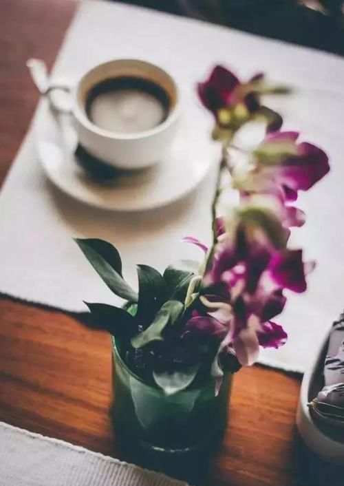  「气质」女性不管多大，都应该养成5个好习惯，气质会越来越优雅