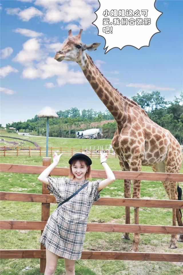 有些人在成都生活了20年，依然是个游客！