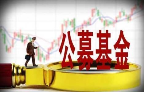 公募加仓意愿增强，到底嗅到了什么