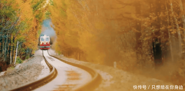 呼伦贝尔的秋天，美的太高级