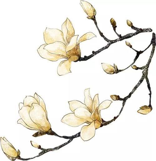 秋分习俗与养生指南，秋天适合养生