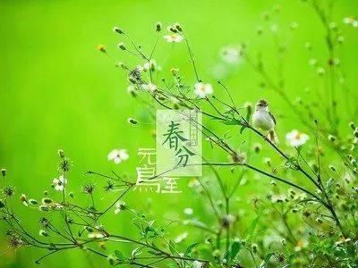  『令七十二候』二十四节气：春分