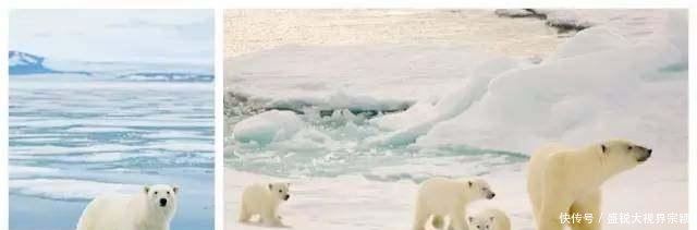 北极圈的神秘岛群，一个死亡违法，禁止生育的“纯净”之地