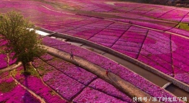 安徽最好玩的“10”大旅游景区，可以考虑去玩玩