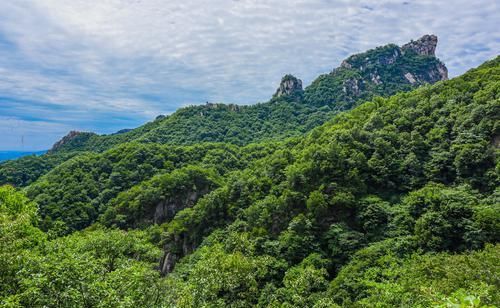 河南最不起眼的景区，却最会讲“故事”，被誉为“中原绿肺”
