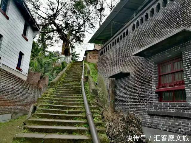 “五一”重庆慢时光，木洞10万㎡格桑花开，孤岛绿草成海！