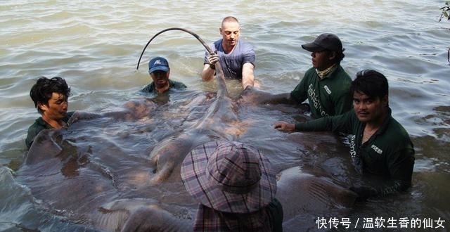 强烈要求李大毛老师停止游钓中国, 远征湄公河降服真正的巨物