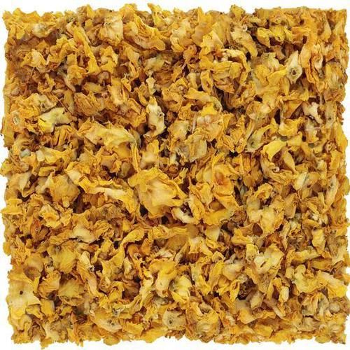 【花冠】毛蕊花,花朵密集,组成大型挺直花序,甚为壮观,花冠黄色