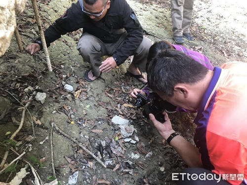 贪食沼虾！台湾高雄寿山淡水水域发现15CM巨型“过山虾”