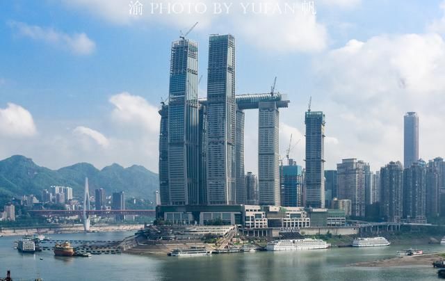 重庆终于成功入夏，高温下猴子比人还懂享受，网友直言“成精了”