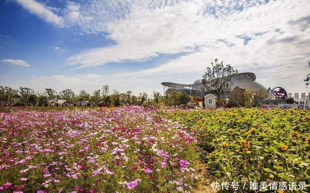 江苏工业第一区常州曾从此地诞生，如今这里却仅为常州一个区