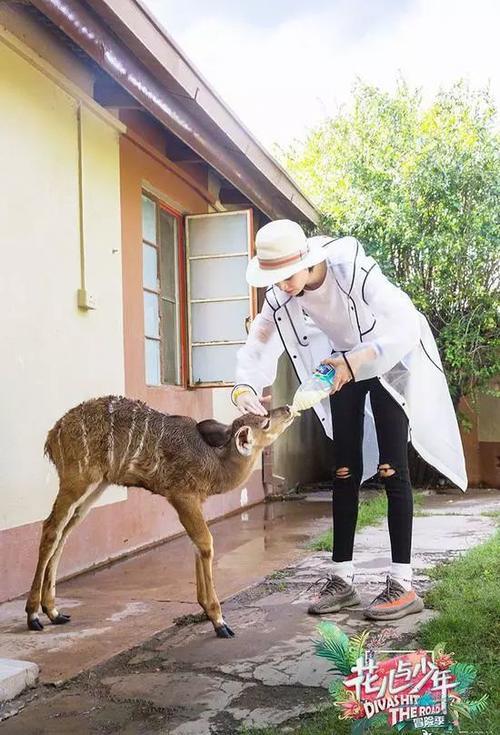 迪丽热巴你真的过分了，穿着透明鞋子就要出门？舒淇的衣服都透了