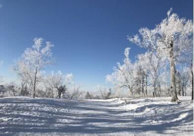 2019年已余额不足，想看落雪下的童话世界，一定要来大东北！