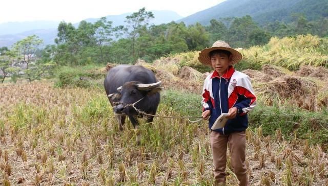  「头疼」在农村，1960年到1969年的人，八成正在为这4件事头疼，